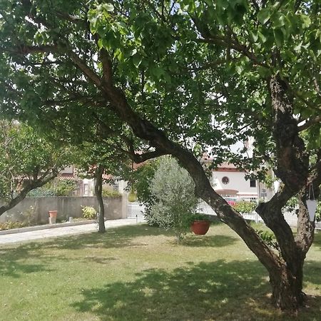 Monferrato Asti-Luminosa Villa CastellʼAlfero Dış mekan fotoğraf